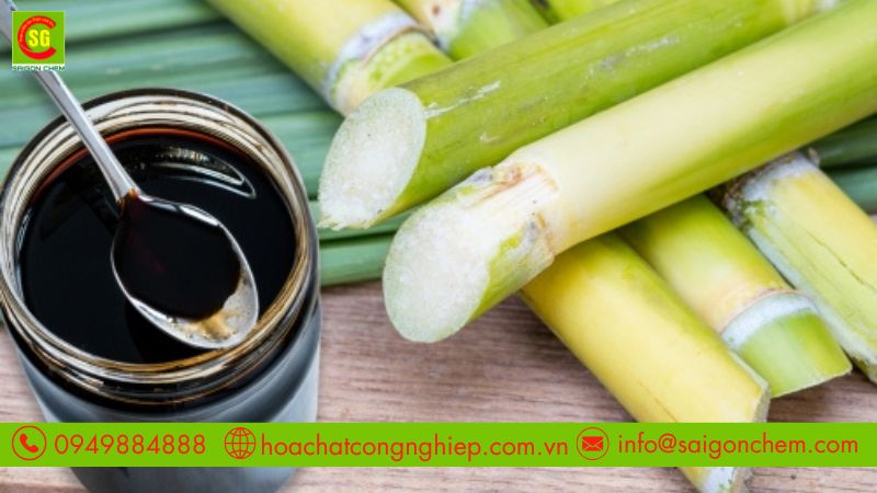 Mật rỉ đường được sản xuất từ đường mía