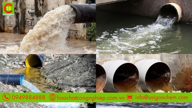 Mật rỉ đường xử lý nước thải