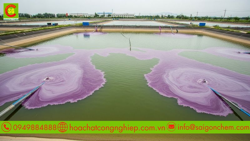 Trang bị bảo hộ cá nhân bắt buộc khi pha chế và rải thuốc tím