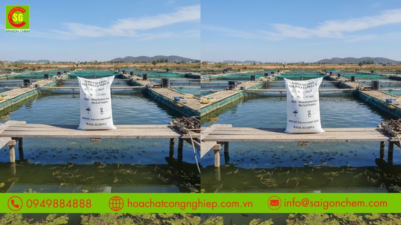 Sodium thiosulfate gi&uacute;p giảm rủi ro cho thủy sinh vật