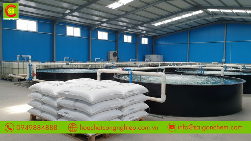 Lưu &yacute; liều lượng sodium thiosulfate đảm bảo an to&agrave;n